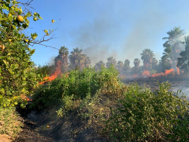 Bomberos trabajan en el incendio declarado en un huerto con viviendas cercanas en Beniel
