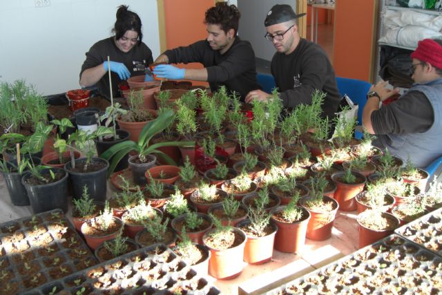 Sermubeniel enseña a 15 jóvenes desempleados a plantar jardines que consumen poca agua
